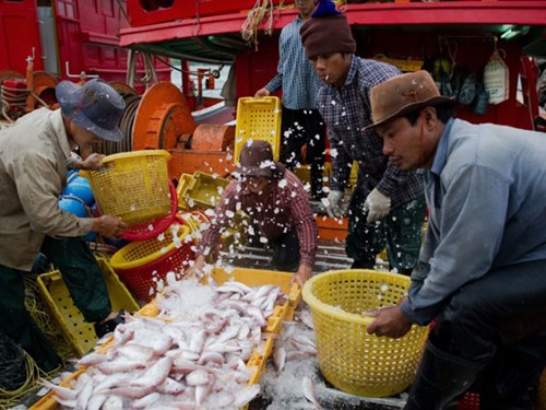 nô lệ tàu cá