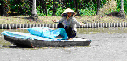 chờ hỗ trợ 9000 tỷ