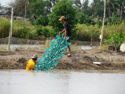 nông dân dọn ao tôm