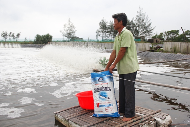 Tuyệt chiêu kiểm tra tôm giống của lão nông lãi 2,5 tỷ/hồ nuôi