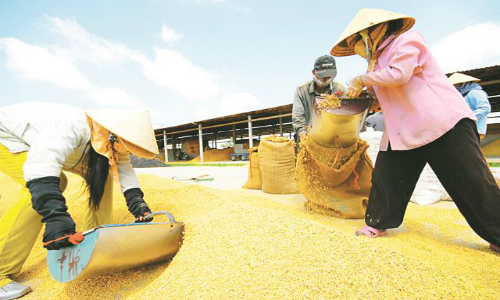 Nông nghiệp Việt Nam