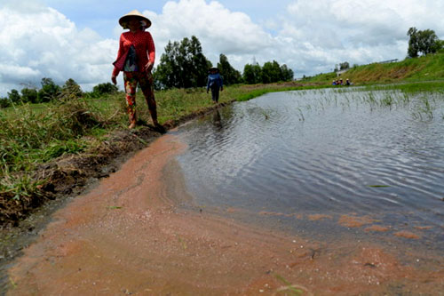 nước nhiễm mặn