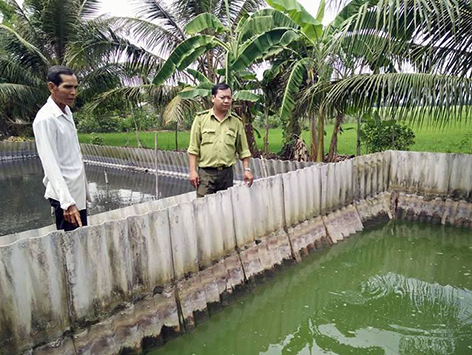 Phát triển kinh tế hộ từ nuôi ba ba