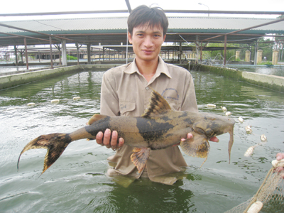 nuoi ca chien ha giang