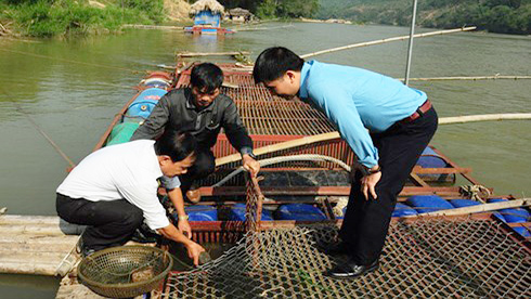 “Quái ngư” mang về bạc tỷ