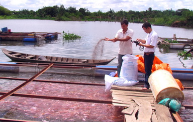 nguoi nuoi trong thuy san gap kho khan voi chat cam