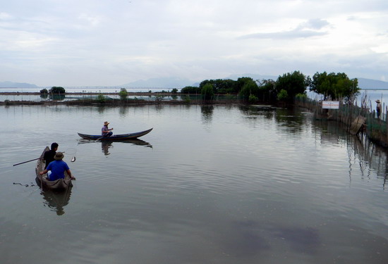 nuôi cá đối mục