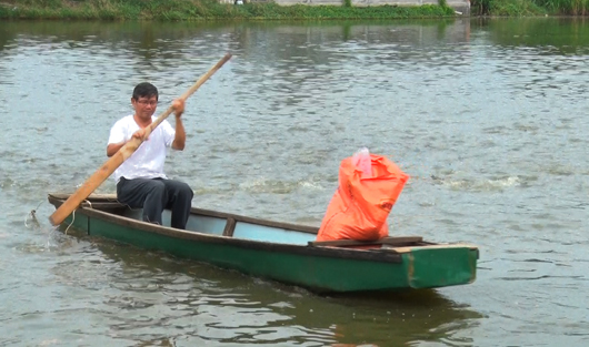 Cá lớn không bán được, người nuôi ôm nợ