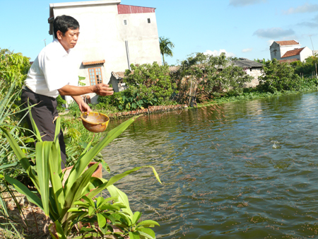 nuôi cá kết hợp