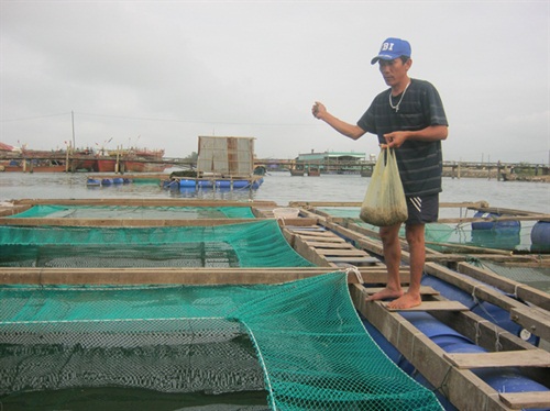 lồng cá lăng