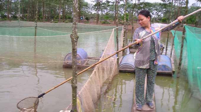 Chị Phan Thị Vân - Ảnh tác giả cung cấp