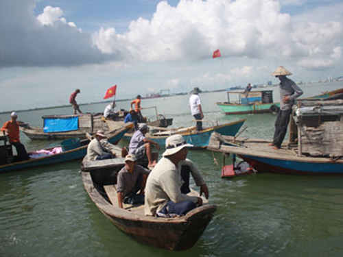 nuôi cá lồng bè