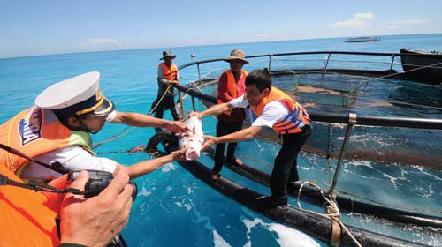 nuoi ca long bien khoi