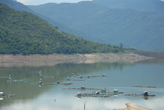 nuôi cá lồng trong hồ thủy điện, nuôi cá, nuôi cá lồng, mô hình nuôi cá, cá