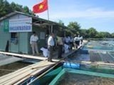 nuôi cá lồng trên hồ chứa