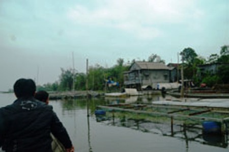 nuoi ca long tren song