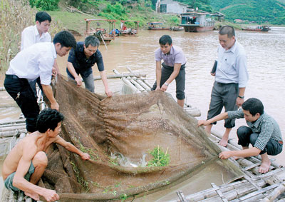 nuôi cá lồng, Thừa Thiên Huế