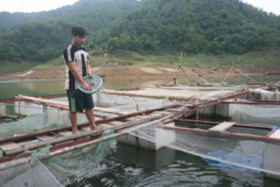nông thôn mới, thi đua yêu nước