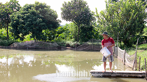 Mỹ Hưng phát triển nuôi thủy sản tập trung