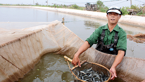 tin vắn thủy sản, tin thủy sản, tin tức thủy sản