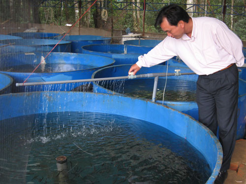 Mô hình nuôi ương cá giống ở huyện Lạc Dương - Ảnh: Báo Lâm Đồng