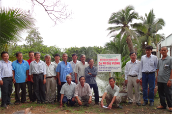 nuoi ca ro dau vuong