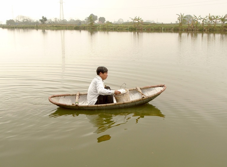 nuoi ca ro phi don tinh