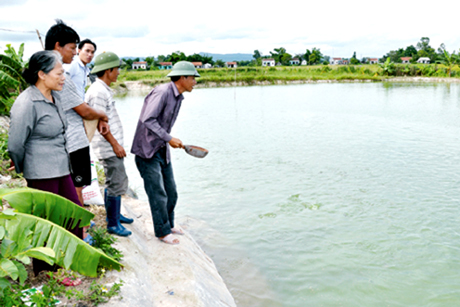 nuoi ca ro phi nuoc lo