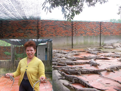 nuoi ca sau lam giau