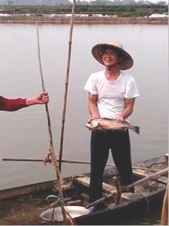 nuôi cá sủ đất