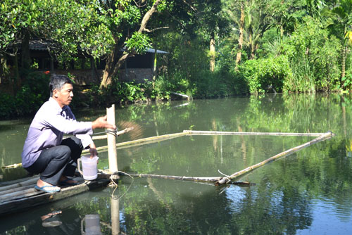 cá thác lác cườm