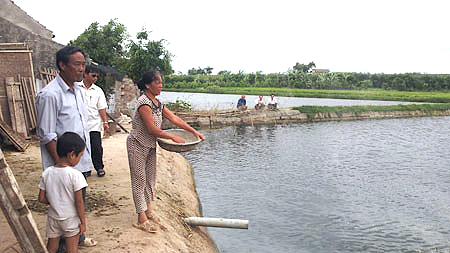 Ông Minh chăm sóc đàn cá trong trang trại của gia đình.