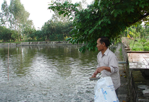 Hội viên Nguyễn Duy Kiếm, thôn Phương Độ, xã Bình Dương (Gia Bình) với mô hình trang trại tổng hợp thu nhập 500-700 triệu đồng/năm.