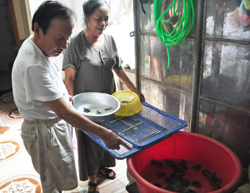 nuôi con đặc sản