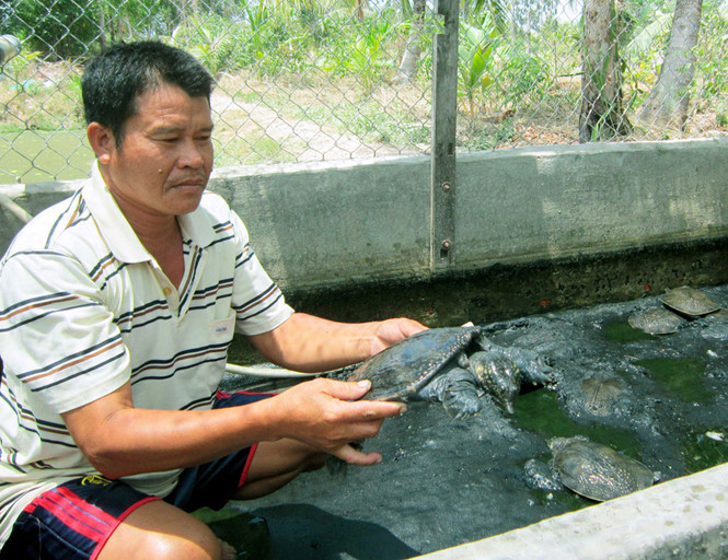 nuoi cua dinh lam giau