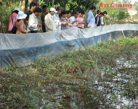 Mô hình nuôi hươu cho thu nhập hàng tỷ đồng ở Phú Long  baoninhbinhorgvn