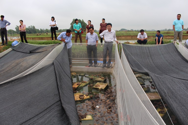 nuôi ếch và cá trê