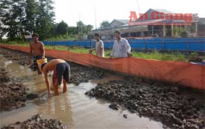 Cải tạo khu nuôi lươn
