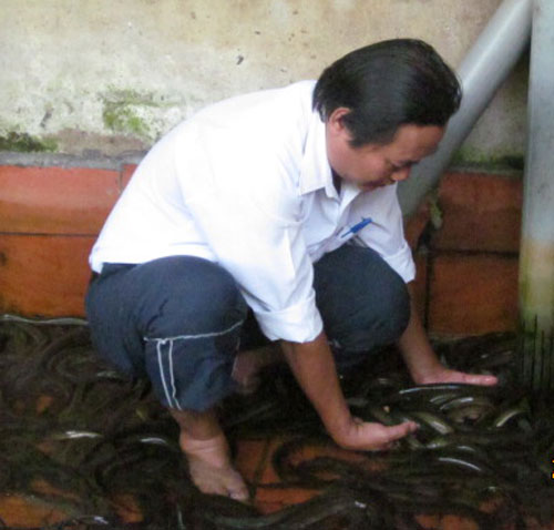 nuôi lươn không bùn