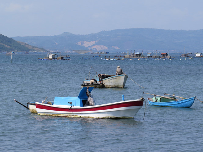 vùng nuôi tôm hùm