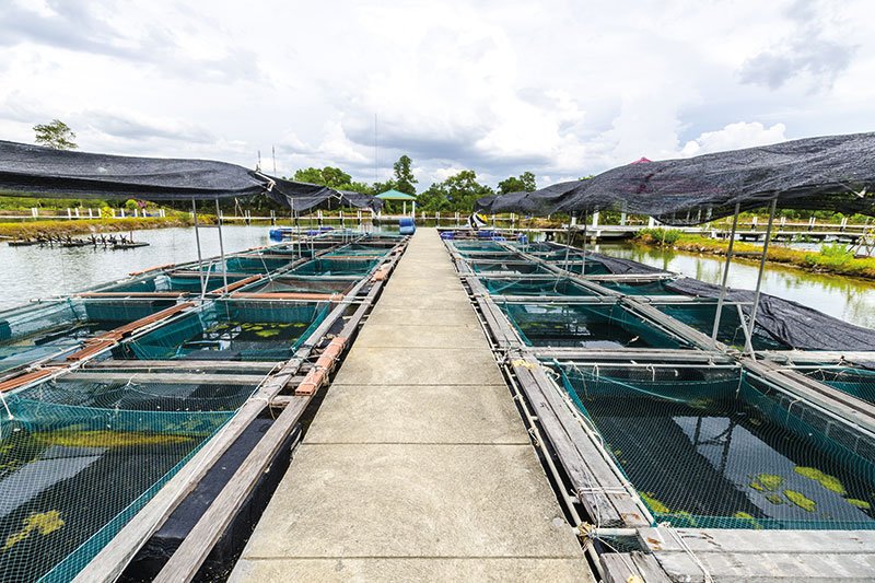 nuôi thủy sản bền vững