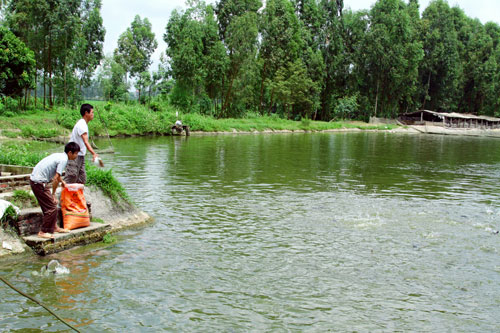 nuoi thuy san gap kho