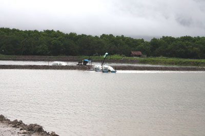 Nuôi thủy sản mùa lũ