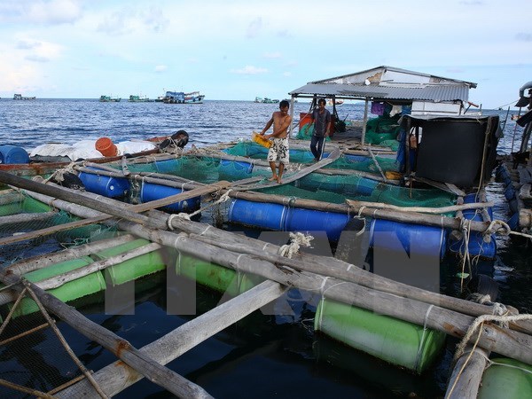 nuôi thủy sản tự phát