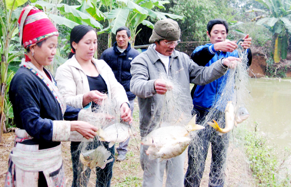 nuôi thủy sản ven biên
