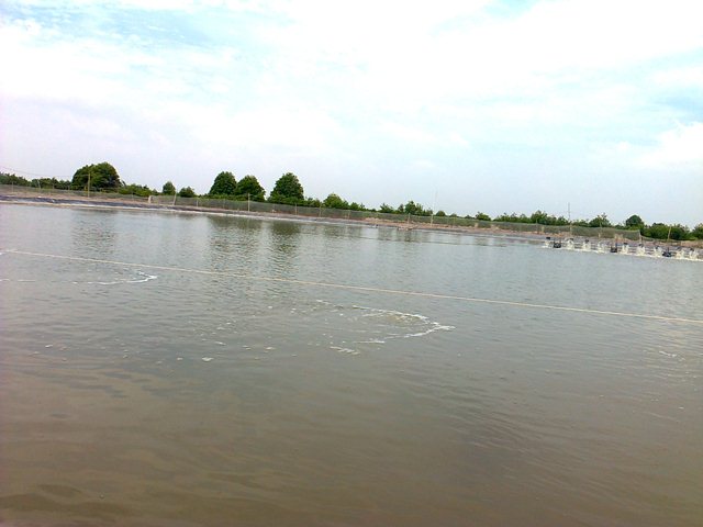 nuôi tôm Phú Thọ