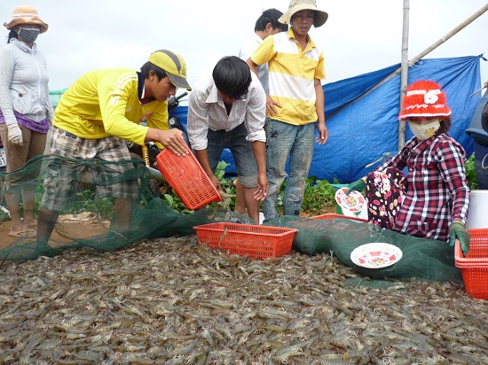 khai thác thủy sản gắn với bảo vệ nguồn lợi