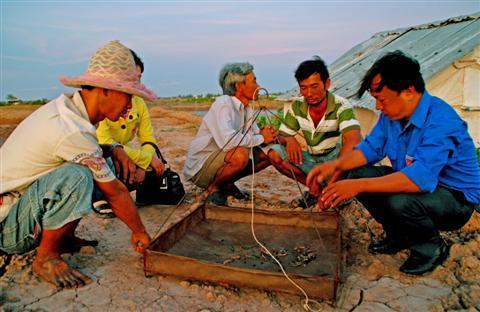 nuôi tôm bạc liêu