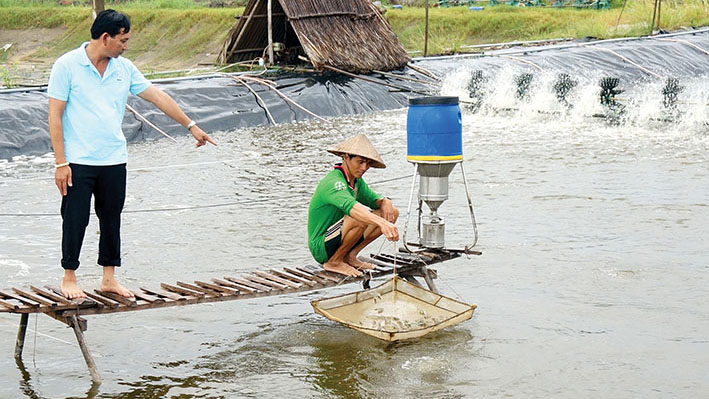 Ngành tôm Cà Mau tiến nhanh về đích!