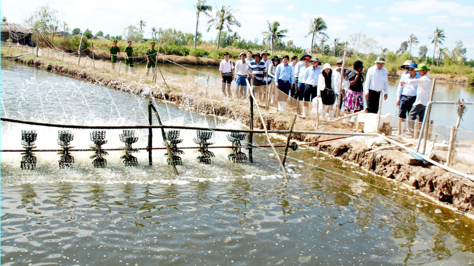 Con tôm vượt khó ngoạn mục